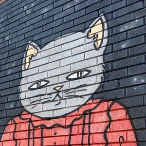 Meet your Posher, Jodi